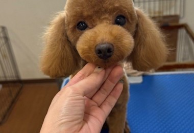 252c4d89-6189-4de5-9542-fe3e95604e85