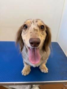 252c4d89-6189-4de5-9542-fe3e95604e85