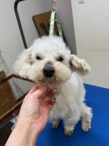 252c4d89-6189-4de5-9542-fe3e95604e85