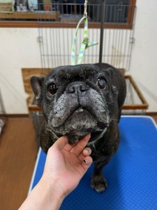 252c4d89-6189-4de5-9542-fe3e95604e85