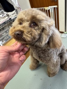 252c4d89-6189-4de5-9542-fe3e95604e85