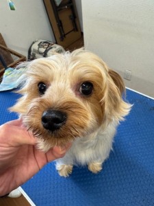 3597a302-2bac-4c94-9809-0210078c4857