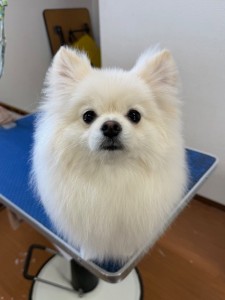 4d1254de-e6f6-46b3-9e82-99ec2c1198aa