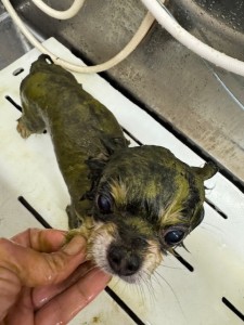 4d1254de-e6f6-46b3-9e82-99ec2c1198aa