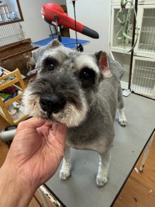 4d1254de-e6f6-46b3-9e82-99ec2c1198aa