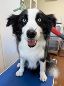 4d1254de-e6f6-46b3-9e82-99ec2c1198aa