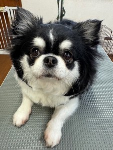 4d1254de-e6f6-46b3-9e82-99ec2c1198aa