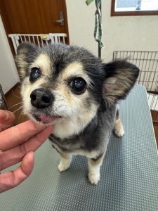 4d1254de-e6f6-46b3-9e82-99ec2c1198aa