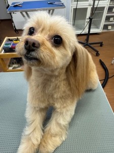 4d1254de-e6f6-46b3-9e82-99ec2c1198aa