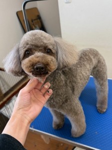 4d1254de-e6f6-46b3-9e82-99ec2c1198aa