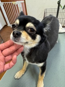 4d1254de-e6f6-46b3-9e82-99ec2c1198aa