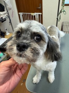 4d1254de-e6f6-46b3-9e82-99ec2c1198aa