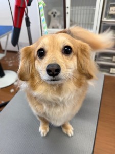 4d1254de-e6f6-46b3-9e82-99ec2c1198aa