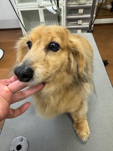 4d1254de-e6f6-46b3-9e82-99ec2c1198aa