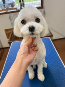 4d1254de-e6f6-46b3-9e82-99ec2c1198aa