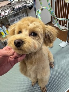 4d1254de-e6f6-46b3-9e82-99ec2c1198aa