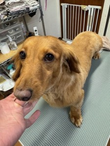 4d1254de-e6f6-46b3-9e82-99ec2c1198aa