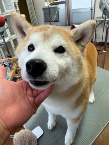 4d1254de-e6f6-46b3-9e82-99ec2c1198aa