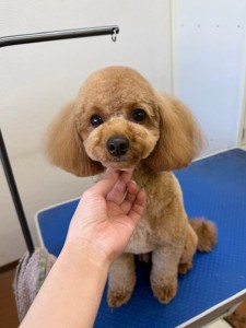 4d1254de-e6f6-46b3-9e82-99ec2c1198aa