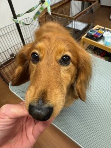 4d1254de-e6f6-46b3-9e82-99ec2c1198aa