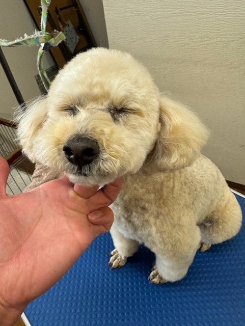 4d1254de-e6f6-46b3-9e82-99ec2c1198aa