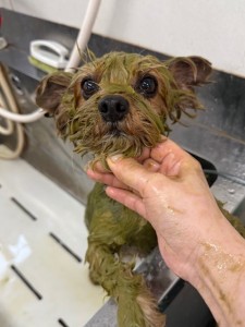 4d1254de-e6f6-46b3-9e82-99ec2c1198aa