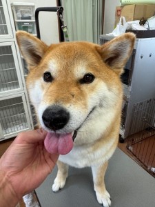 4d1254de-e6f6-46b3-9e82-99ec2c1198aa