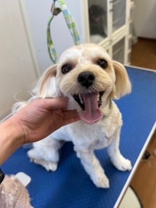 4d1254de-e6f6-46b3-9e82-99ec2c1198aa