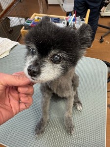 4d1254de-e6f6-46b3-9e82-99ec2c1198aa