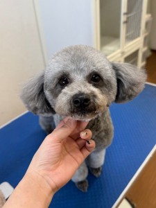 4d1254de-e6f6-46b3-9e82-99ec2c1198aa