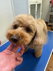 4d1254de-e6f6-46b3-9e82-99ec2c1198aa