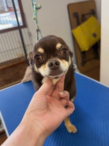 4d9a6697-b832-4a1c-9bb6-6f0bddee874d