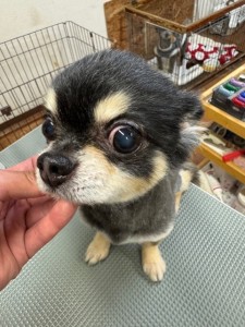 4d9a6697-b832-4a1c-9bb6-6f0bddee874d