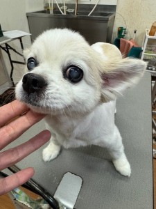 4d9a6697-b832-4a1c-9bb6-6f0bddee874d