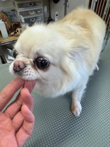 4d9a6697-b832-4a1c-9bb6-6f0bddee874d