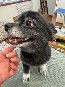 4d9a6697-b832-4a1c-9bb6-6f0bddee874d