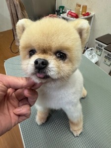 4d9a6697-b832-4a1c-9bb6-6f0bddee874d