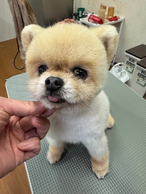 4d9a6697-b832-4a1c-9bb6-6f0bddee874d