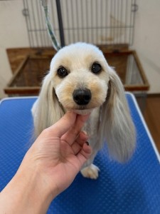 4d9a6697-b832-4a1c-9bb6-6f0bddee874d