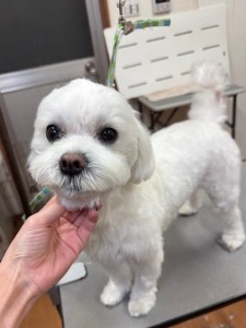 4d9a6697-b832-4a1c-9bb6-6f0bddee874d