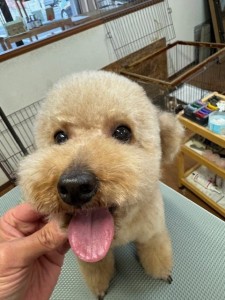 4d9a6697-b832-4a1c-9bb6-6f0bddee874d