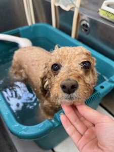 4d9a6697-b832-4a1c-9bb6-6f0bddee874d