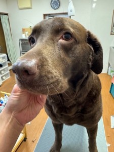 4d9a6697-b832-4a1c-9bb6-6f0bddee874d