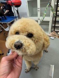 4d9a6697-b832-4a1c-9bb6-6f0bddee874d