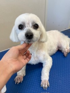 4d9a6697-b832-4a1c-9bb6-6f0bddee874d