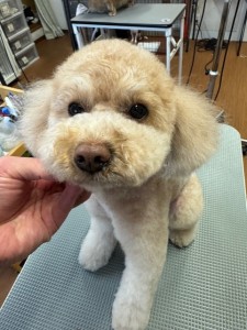 4d9a6697-b832-4a1c-9bb6-6f0bddee874d