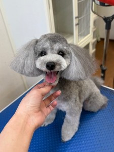 4d9a6697-b832-4a1c-9bb6-6f0bddee874d