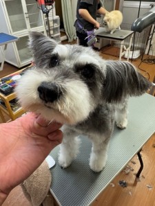 4d9a6697-b832-4a1c-9bb6-6f0bddee874d