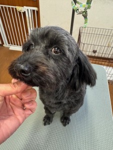 4d9a6697-b832-4a1c-9bb6-6f0bddee874d