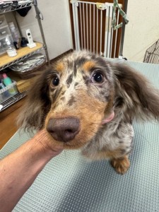 4d9a6697-b832-4a1c-9bb6-6f0bddee874d